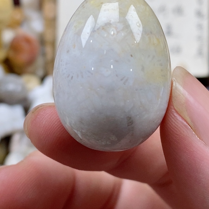 颈饰未镶嵌硅化珊瑚（珊瑚玉）