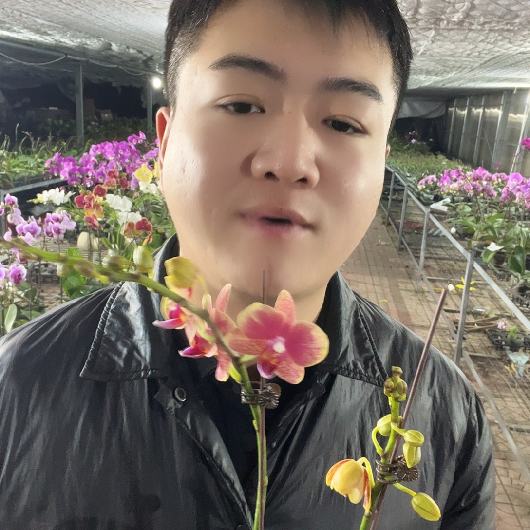 大部分花苞少量开放金蝶