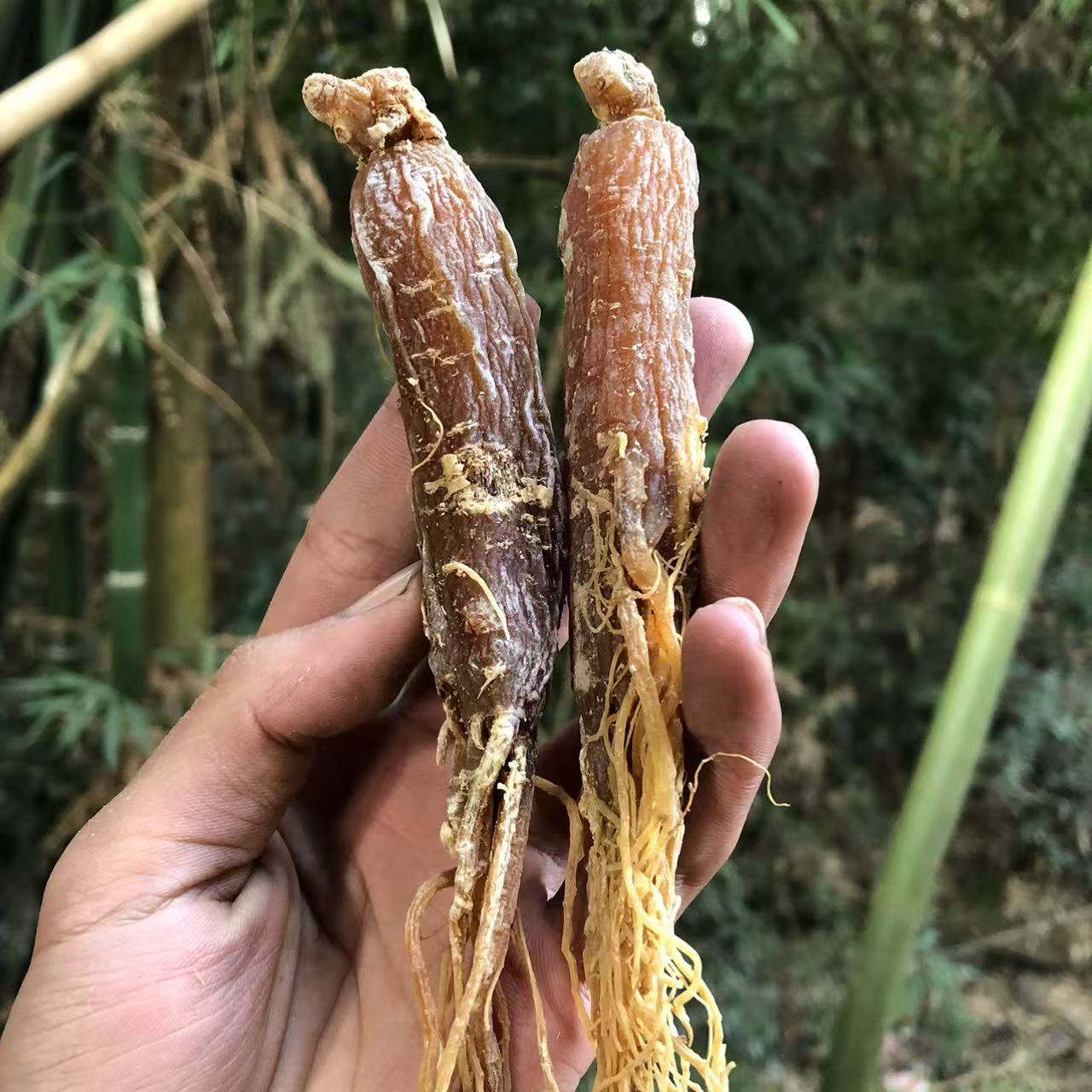 【百-年-红-参】净含量；100g-500g【万万现收】