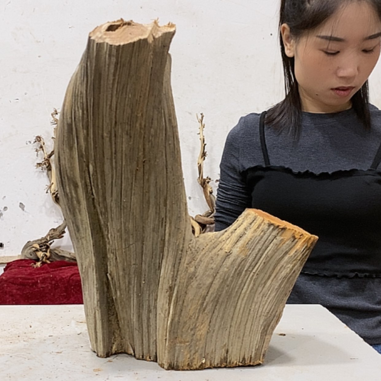 【闪购商品】柏木海*我们都是好孩子