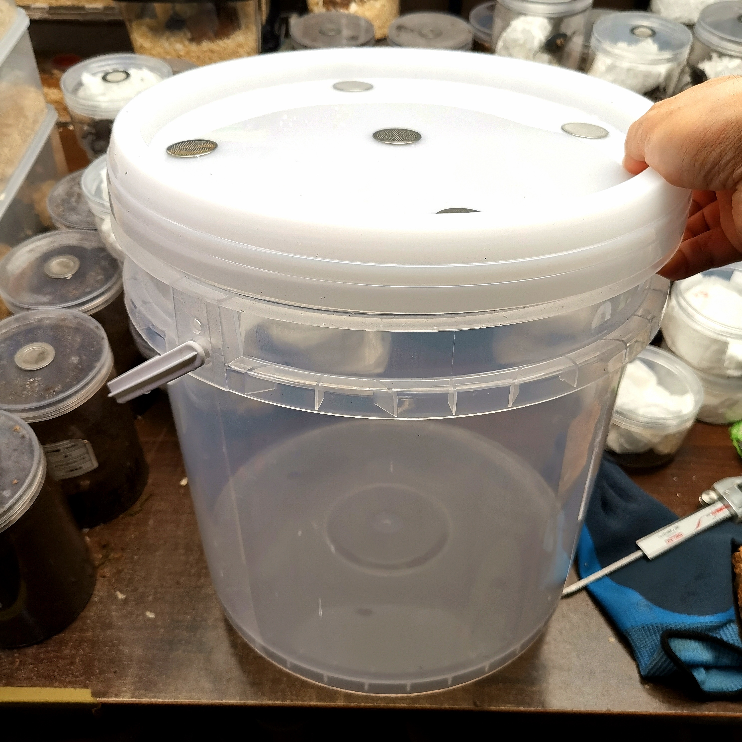 甲虫幼虫饲养桶空桶可作产房使用容量大约25L