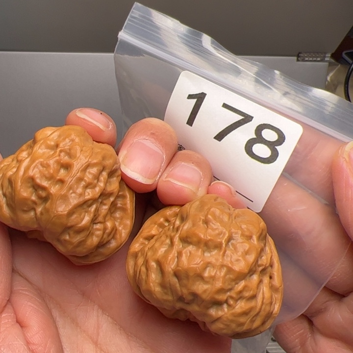 @***@核桃蛙饼41边42肚178