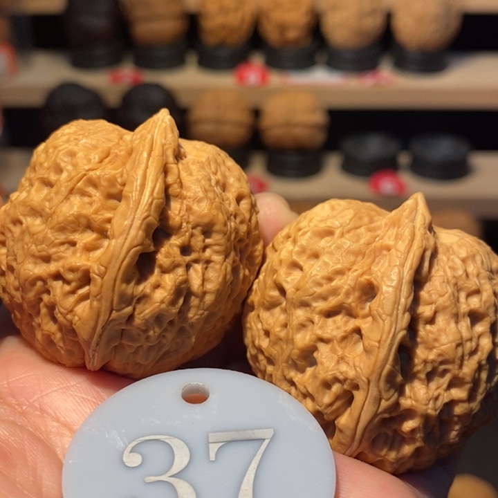 木质类龙鳞铁狮子42尺寸，大克重63克