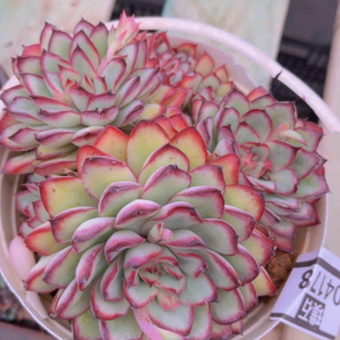 【闪购商品】灵隐04178