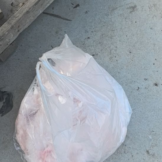 石台小李代购猪油