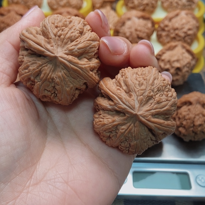 文玩核桃把件40粗筋