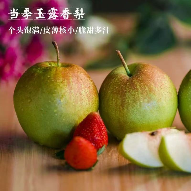 隰县玉露香梨15到16枚装10斤毛重