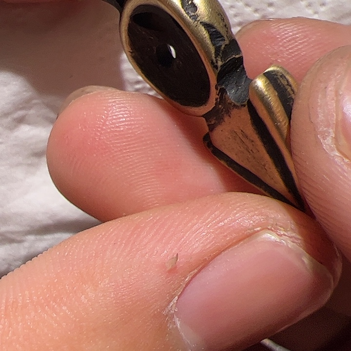 香榧木在家了一个