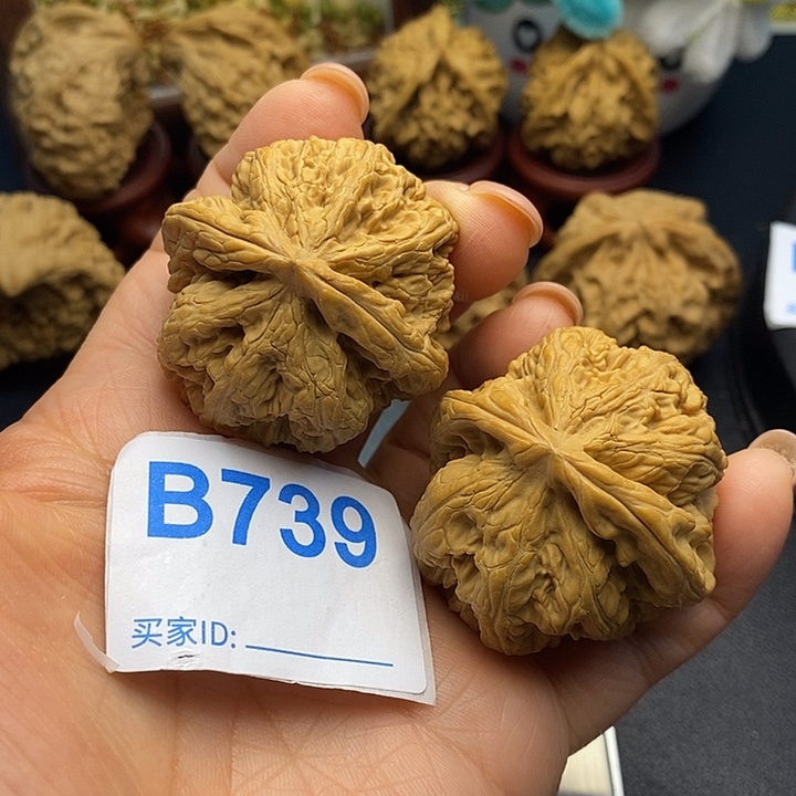 文玩核桃把件粗筋4.2