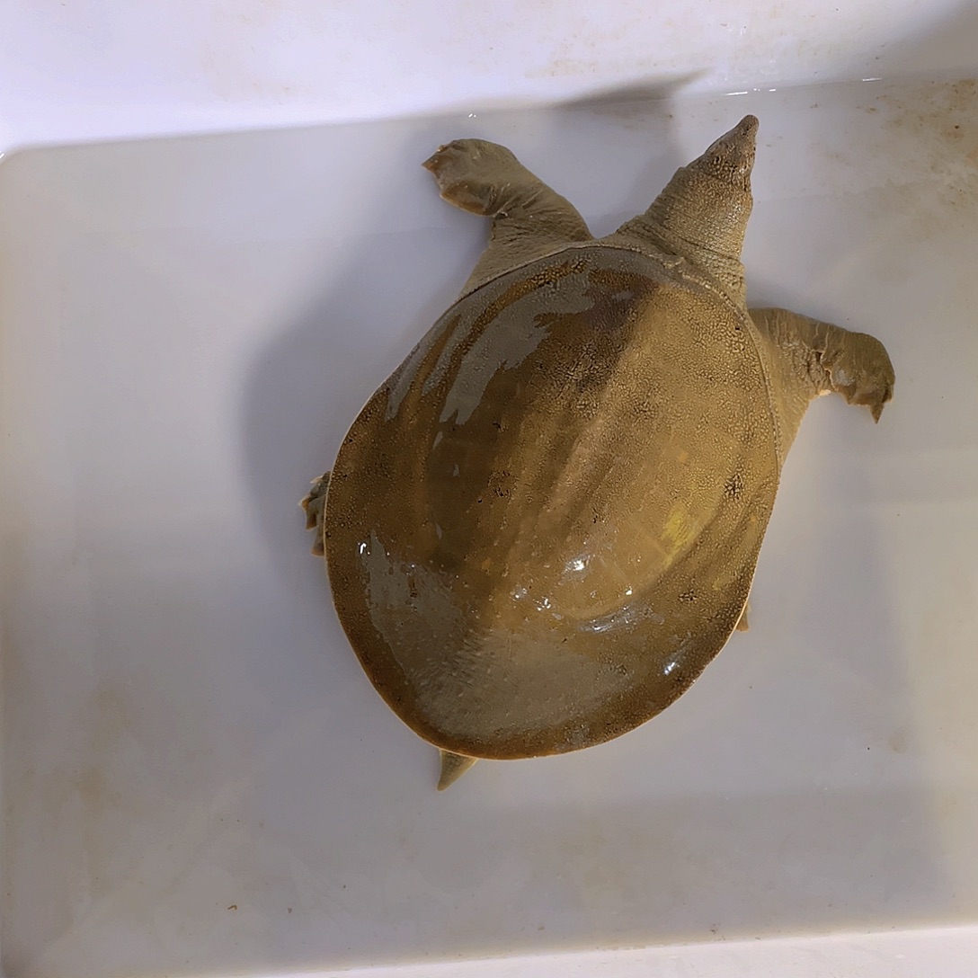 中国大陆123456789