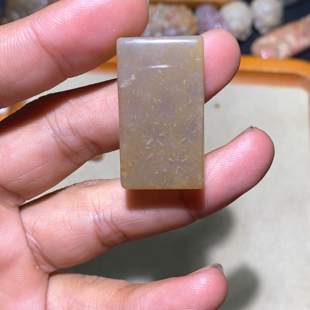 【闪购商品】硅化玉颈饰未镶嵌