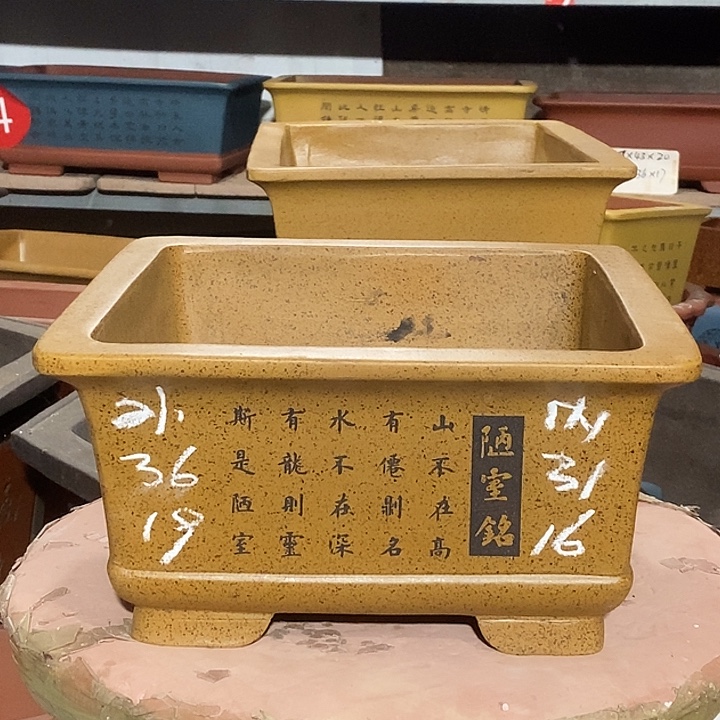 紫砂花盆花盆花盆