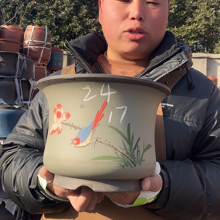 紫砂紫砂花盆盆栽