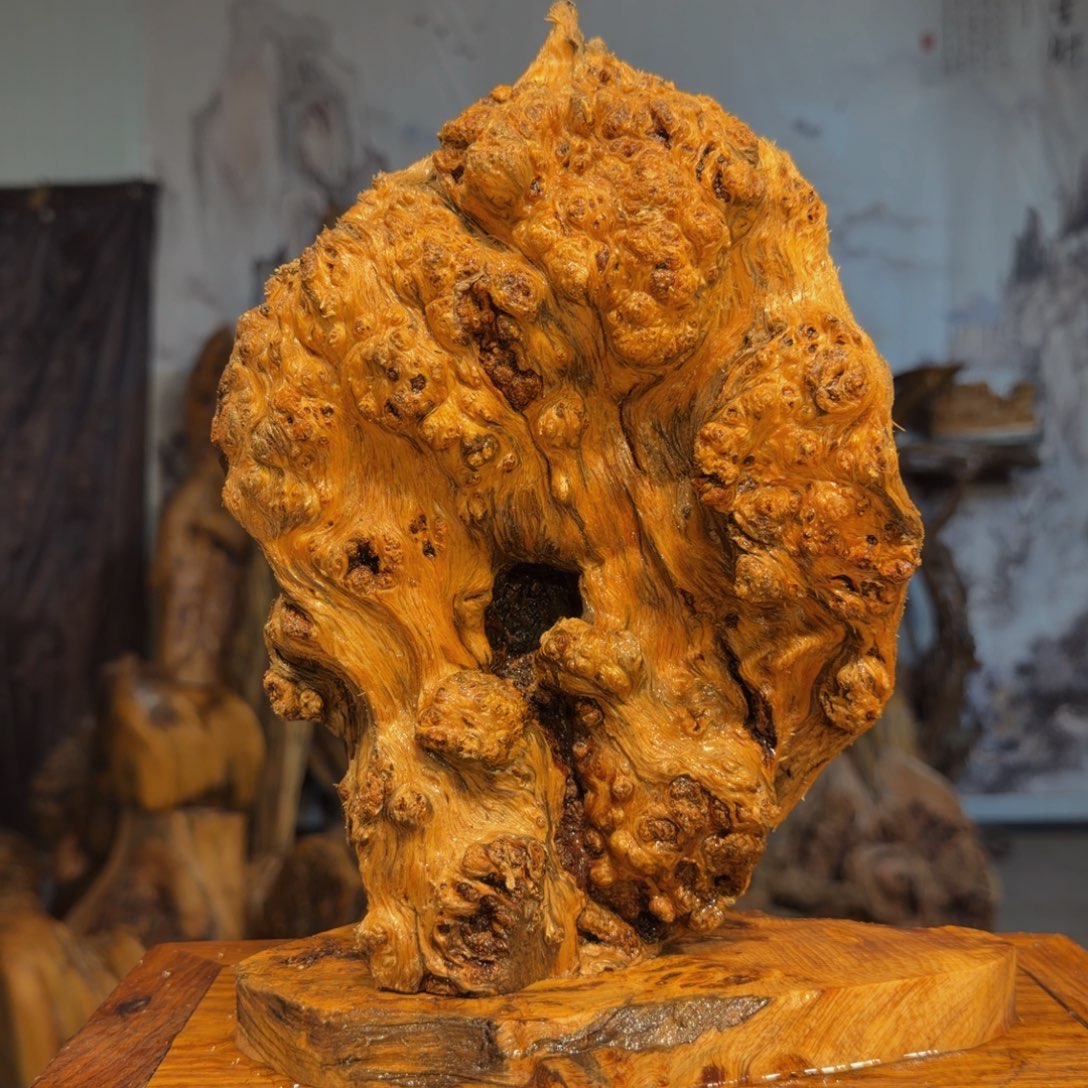金***鼎木三丰琥珀木 天然摆件25