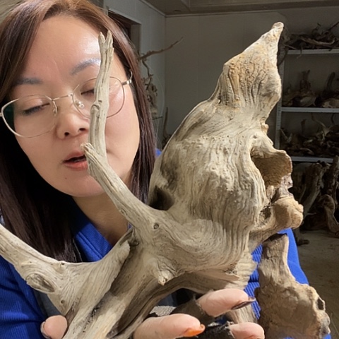 尼***欢吊坠文玩核桃哈哈