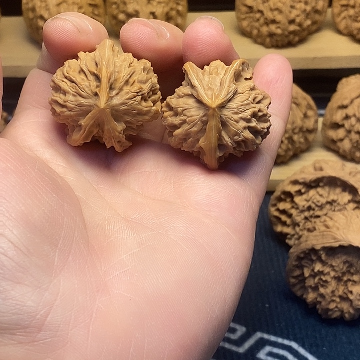 核桃33盘山三棱福利