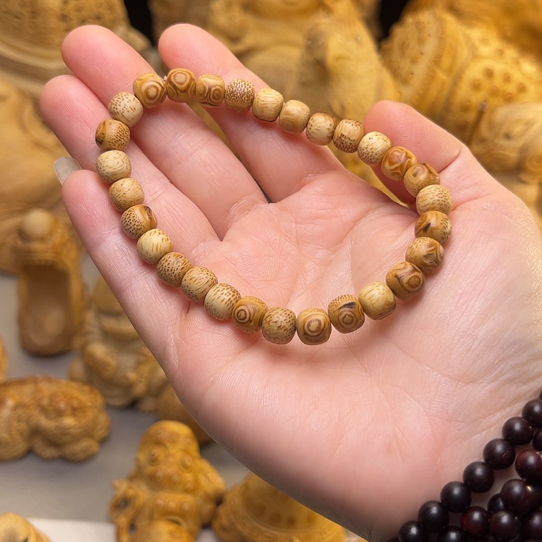 竹竹根的29个小子