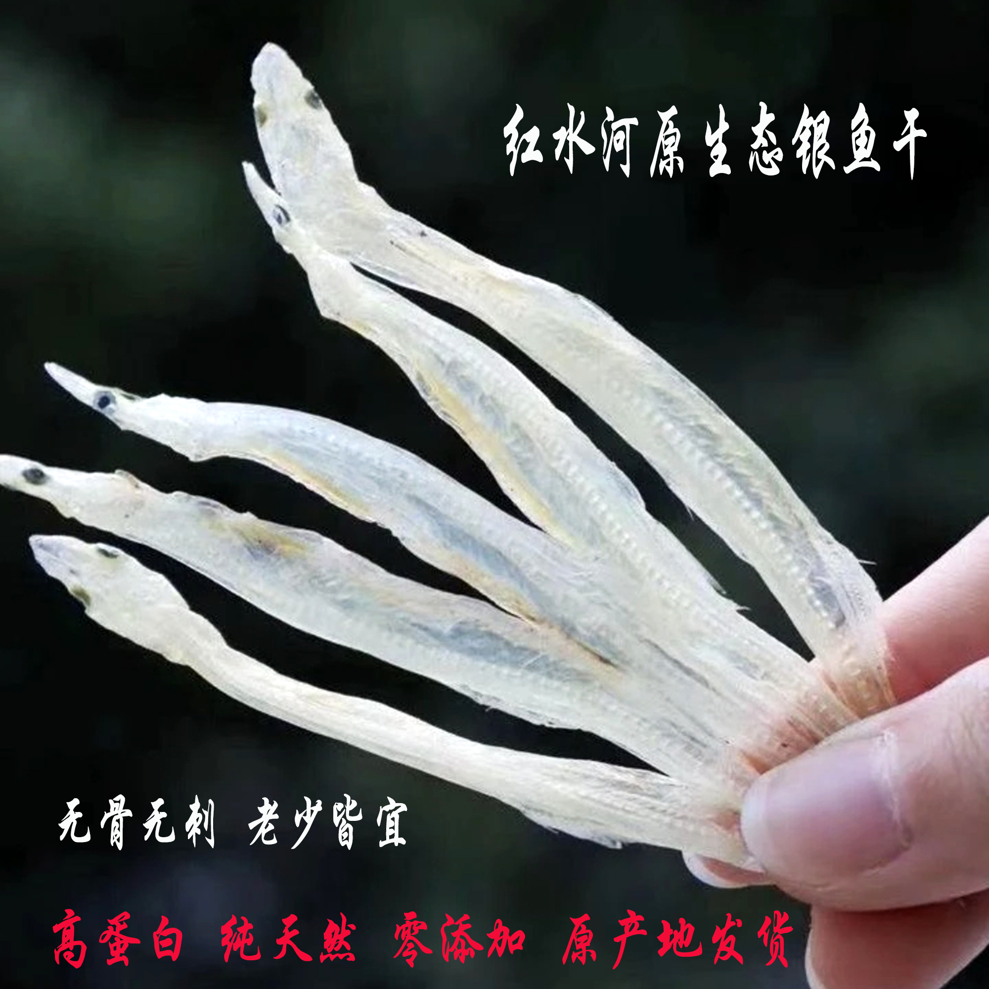广西红水河银鱼干/淡水银鱼干货