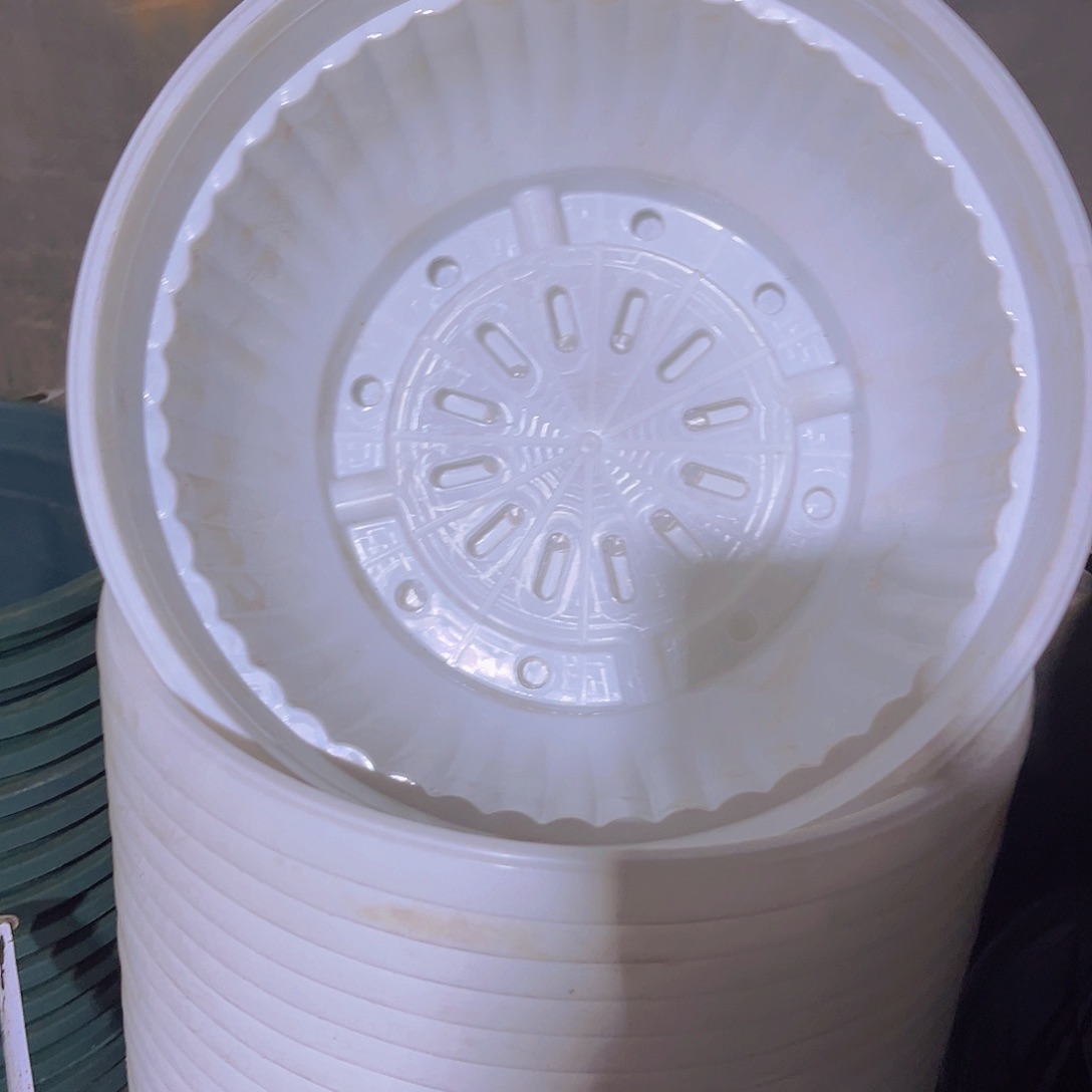 塑料24公分白元盆 5个