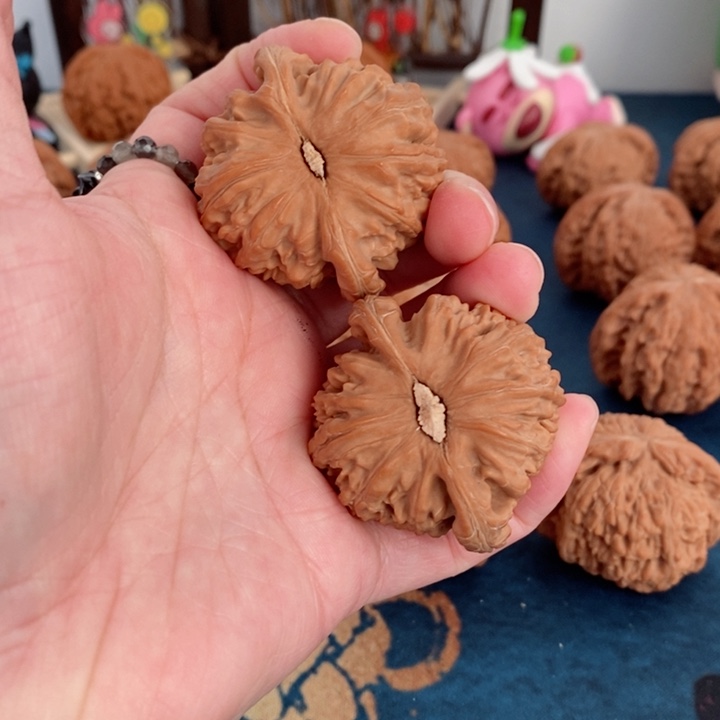 文玩核桃把件再**次全品白狮子43