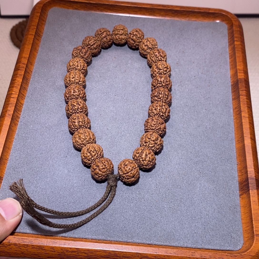 金刚菩提手串004古树龙珠15.6