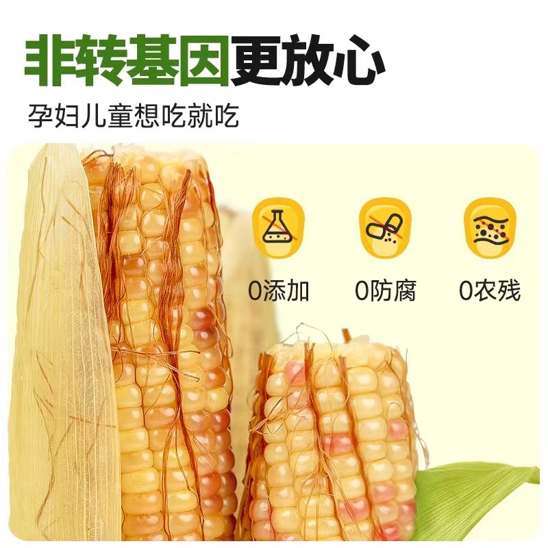 五月浓庄 小花水果年糯玉米金铝膜真空包装  每箱10根 
