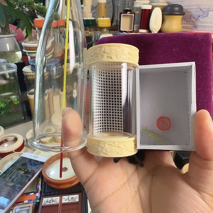 云纹掌中宝➕青竹666666