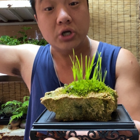 红陶一物一拍所见即所得22