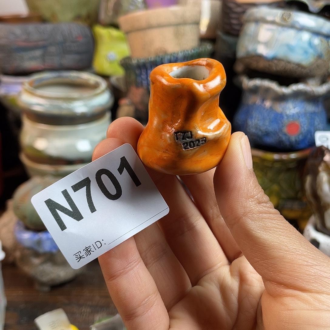 坛子姐花盆 双十二限时福利 默认微次