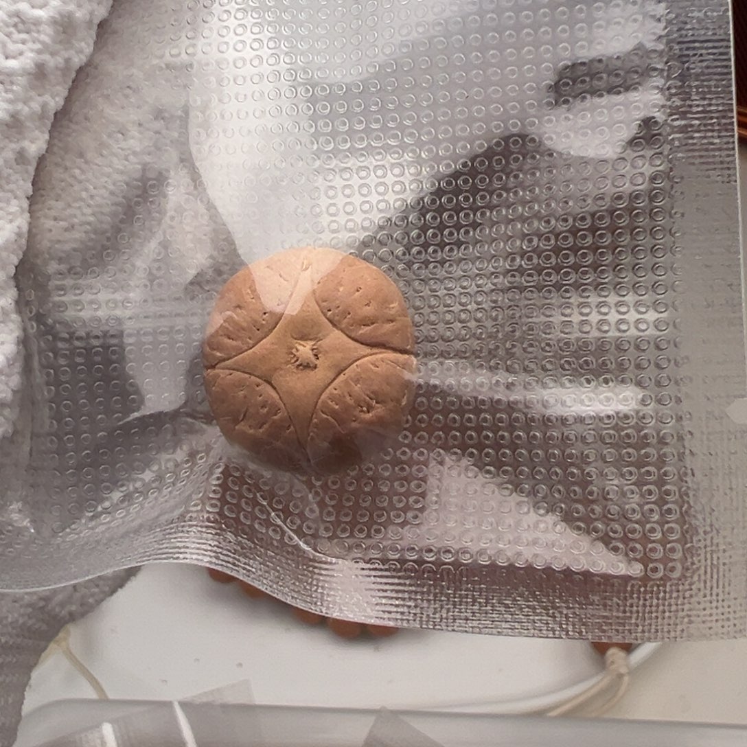 吊坠凤眼菩提三通福利18
