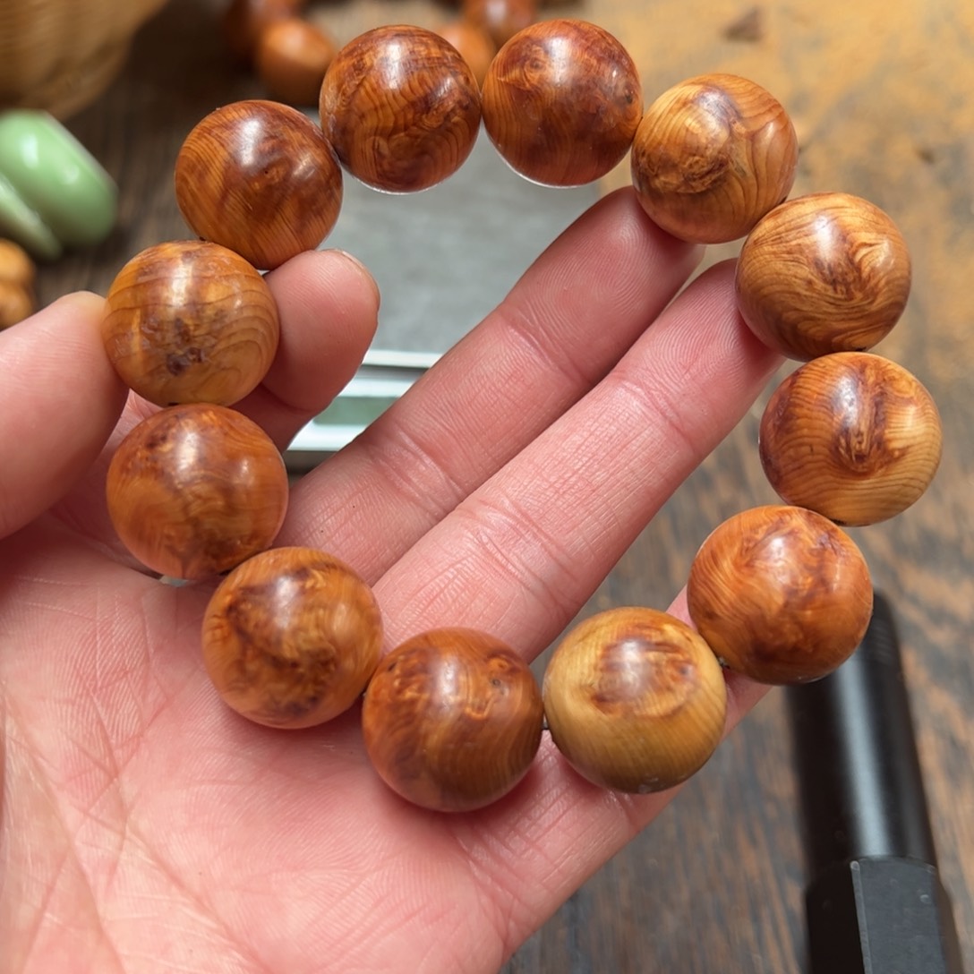 太行崖柏陈化太行