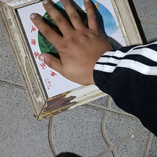 以***贵带章毛000000000000