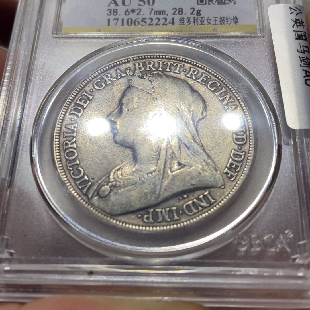 银鱼*6666666666666666666