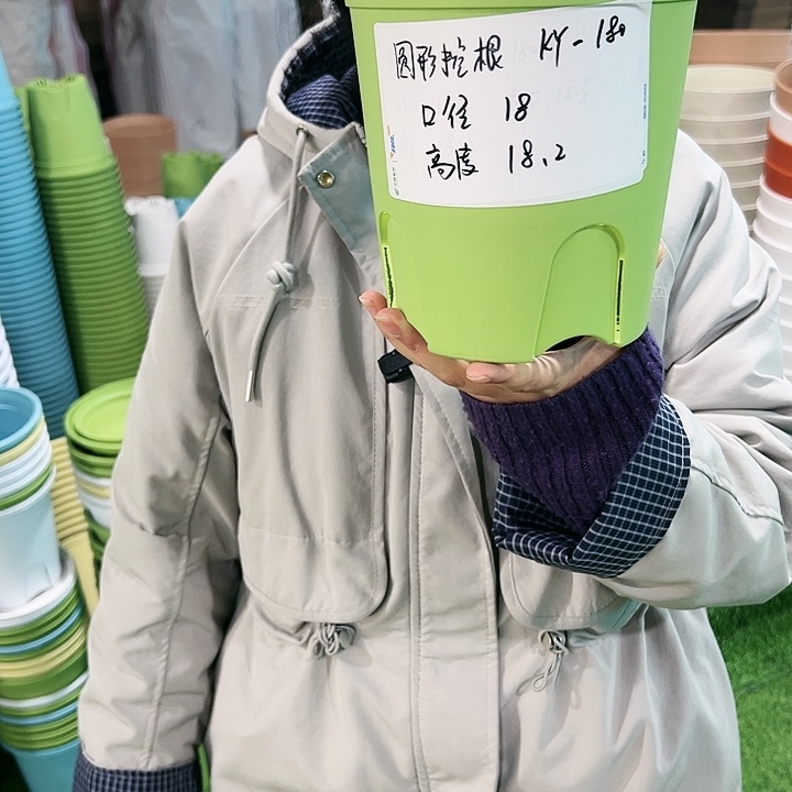 正品圆控口18高18果绿色带托8只
