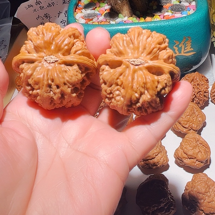 ****吊坠龙脊菩提大粗筋