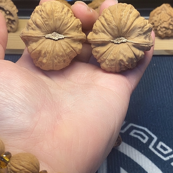 核桃44全品南瓜福利核桃