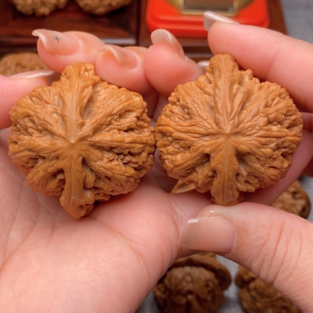 把件文玩核桃47精品毕业粗筋