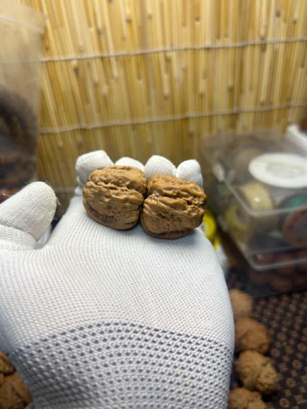 磨盘蛤蟆头联手对配对一般