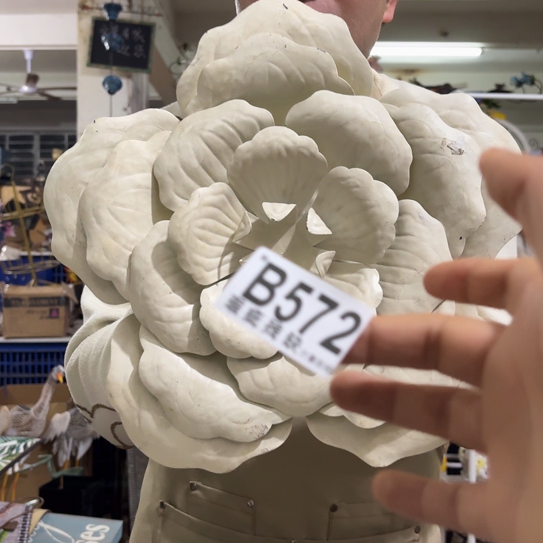 核桃木/黑胡桃（胡桃木）