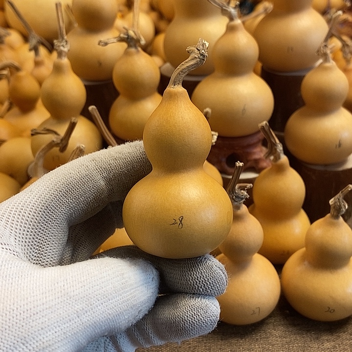 文玩葫芦 完美主义者 慎拍28