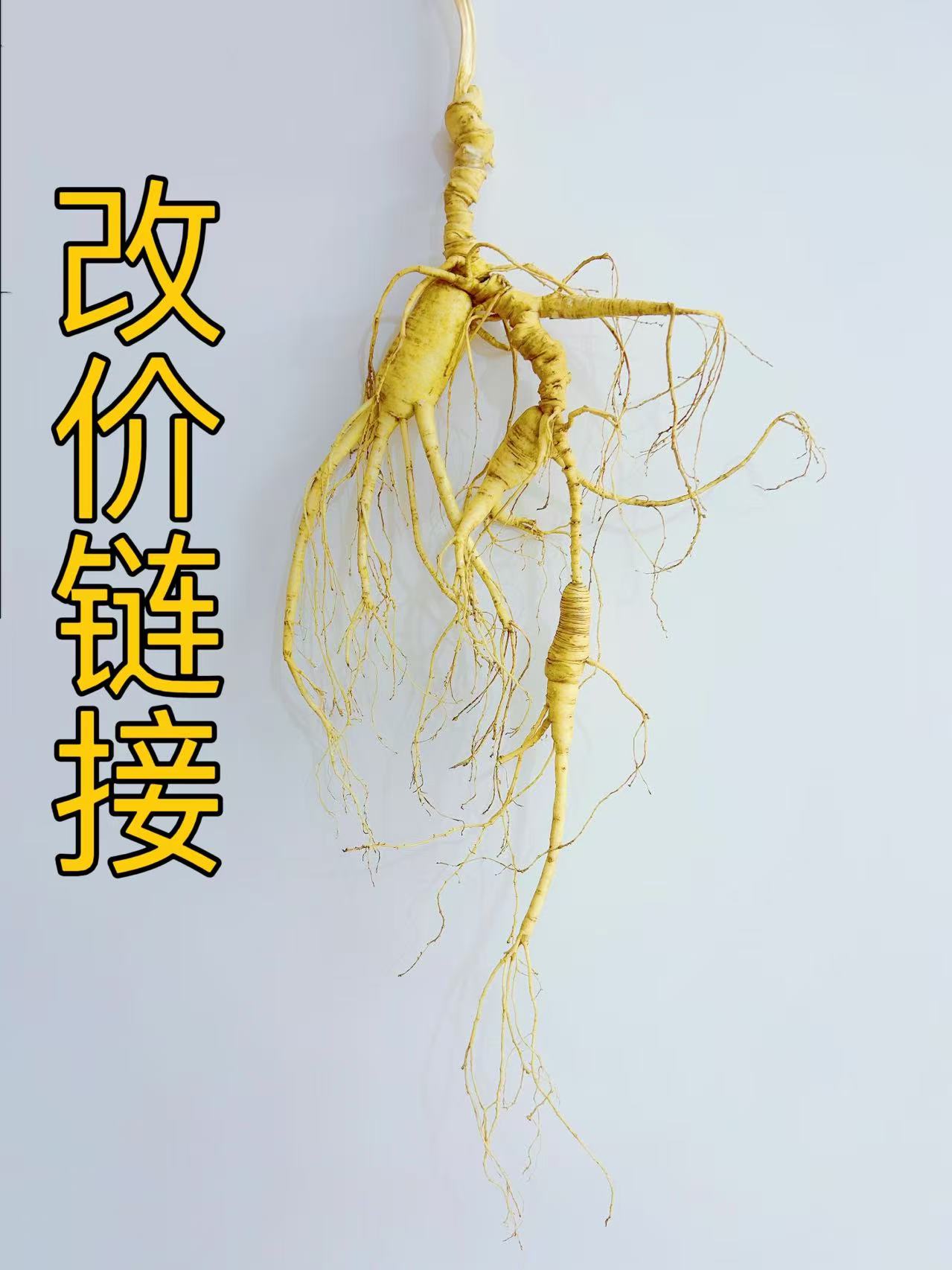 鲜参改价专用链接【参识渊博】