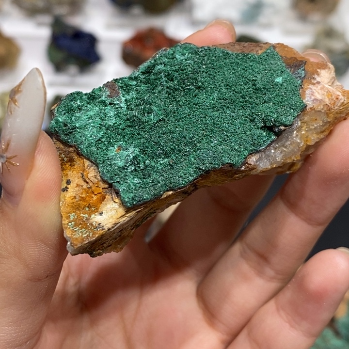 石材摩洛哥孔雀小草地