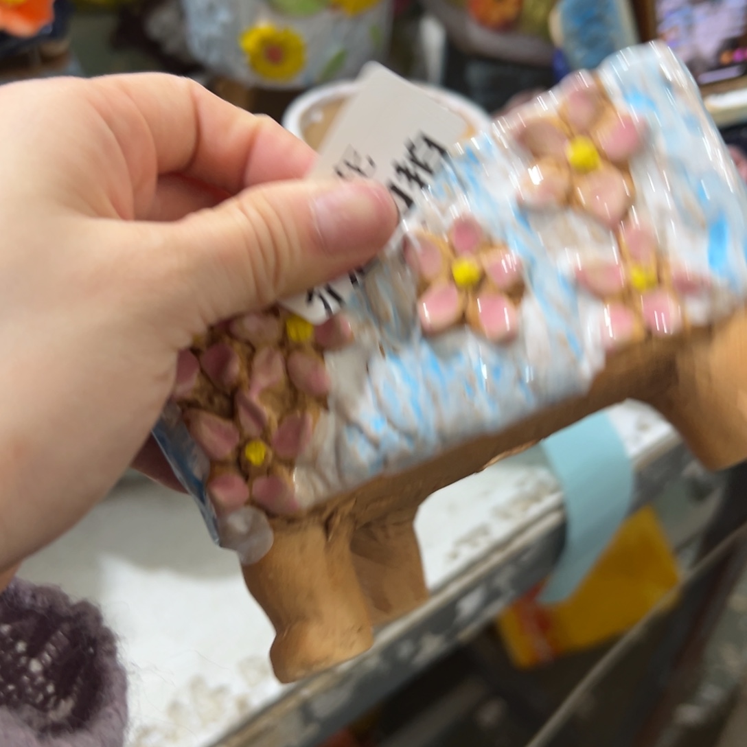 多肉花盆满18.8发秒拍秒退拉黑