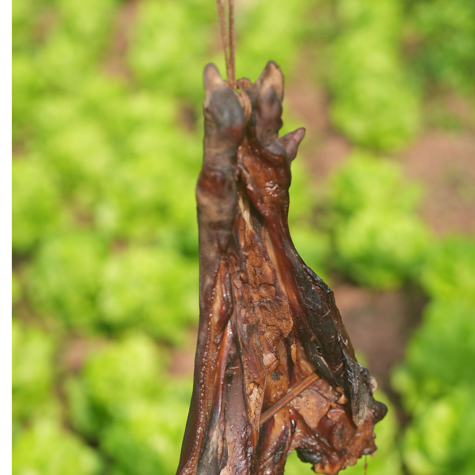 雪苜香川味柴火烟熏腊猪脚正宗农家风味特色美食
