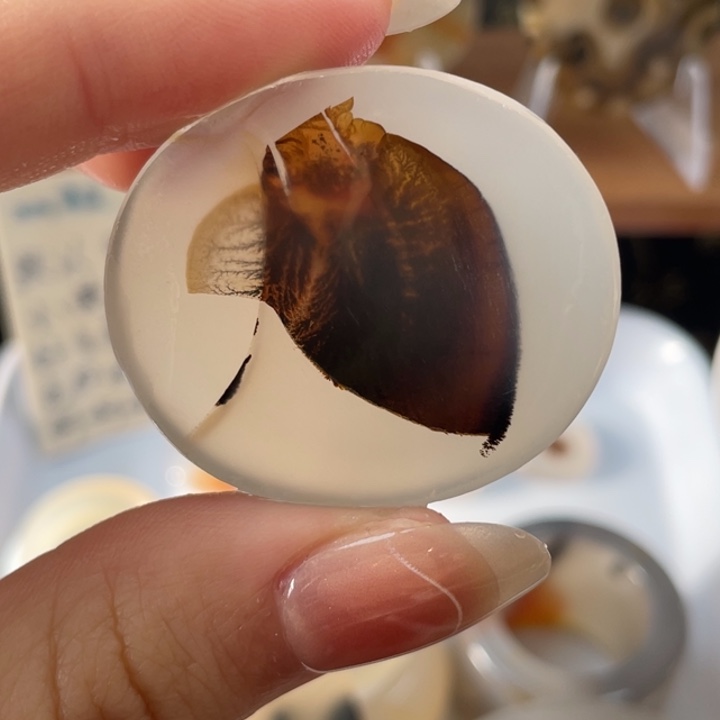 玛瑙/玉髓未镶嵌牌子