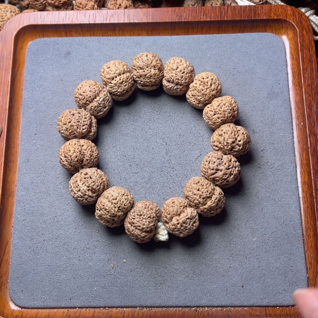 菩提籽类2号金刚菩提菠萝蜜22