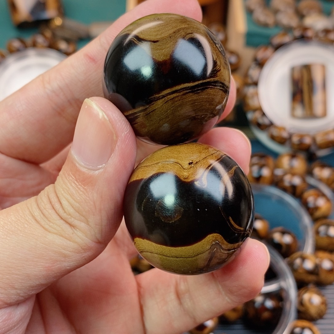 木纯天然海柳血柳全品3.1