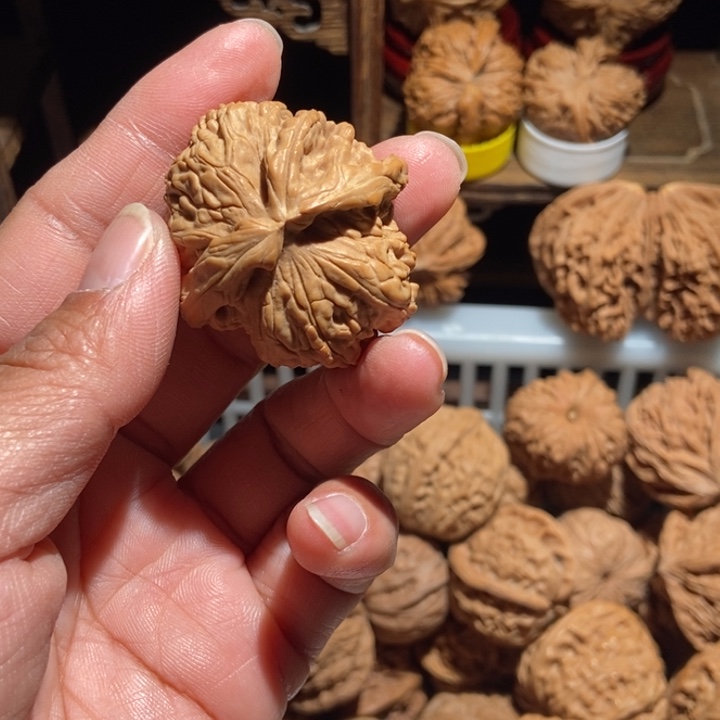 蛤***人核桃白狮子三棱尺寸39全品