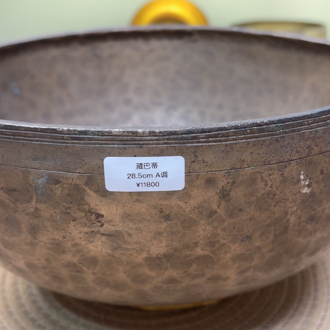 贝**佳颂钵1111111111111