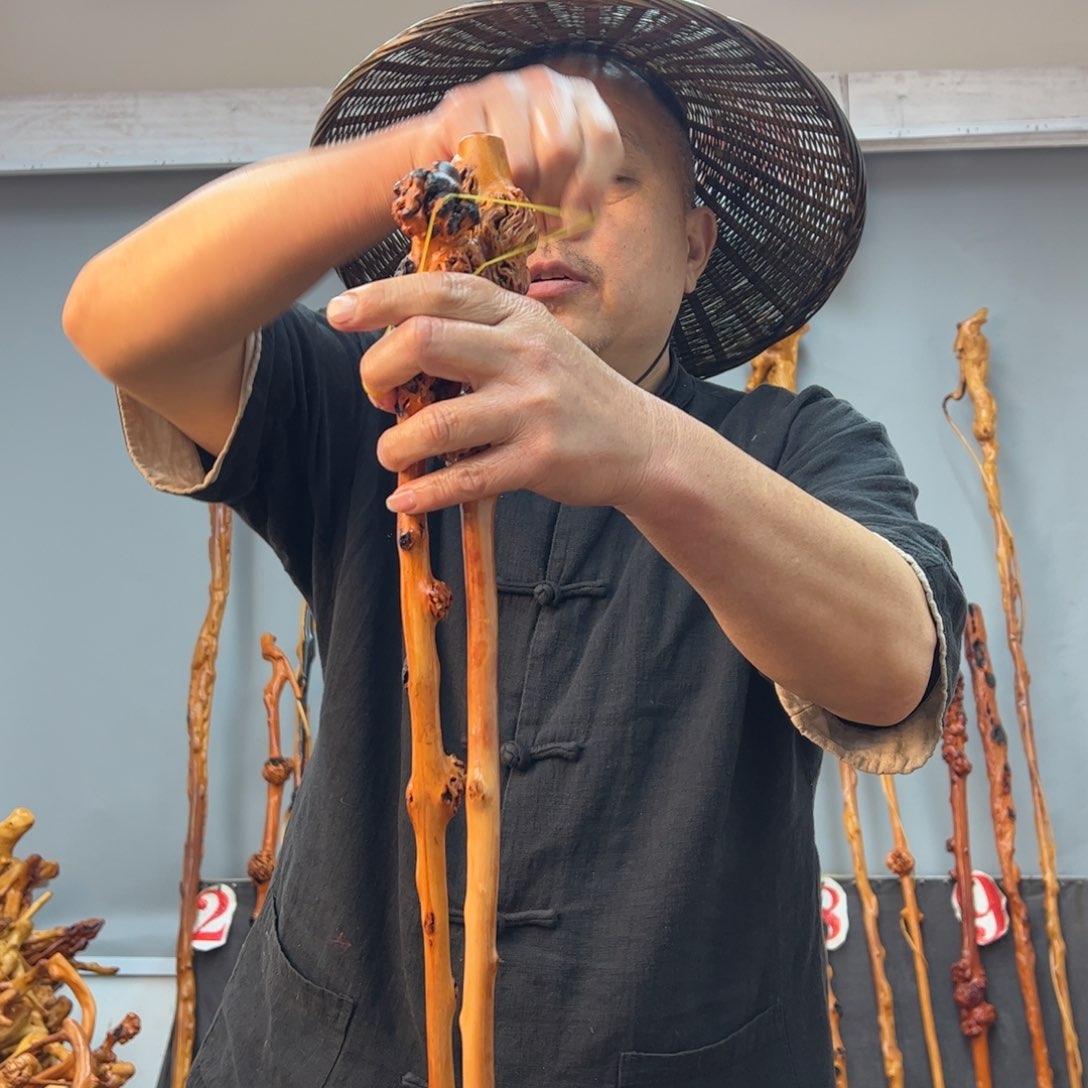 黑果木其他黑果木786